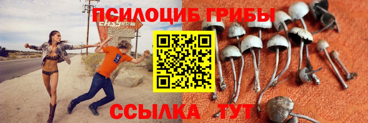 Галлюциногенные грибы мухоморы  Псилоцибиновые грибы Magic Shrooms  Вход с VPN  Карпинск 